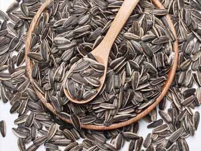 江苏五香瓜子代理-高性价五香瓜子哪里有卖