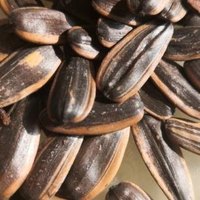 华味亨瓜子古法瓜子就是五香瓜子