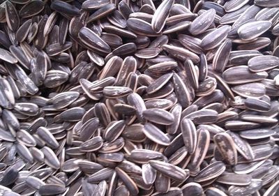 飞雪千钧笑惊鸿‖ 闲话瓜子