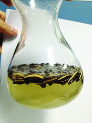 红茶绿茶奶香 瓜子 高富帅 泡半小时就变土鳖