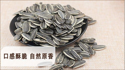 新货特价 内蒙炒货原味香瓜子批发散装5斤 2斤干炒五香焦糖零食