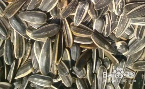 瓜子炒出 宫廷味儿