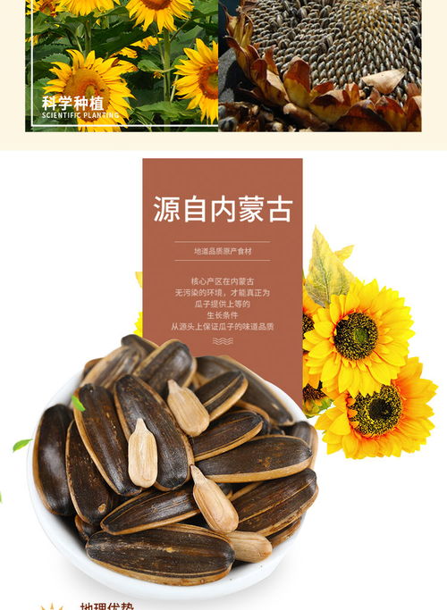 张老吉焦糖瓜子五香原味山核桃味葵花籽1斤2斤4斤零食批发袋装