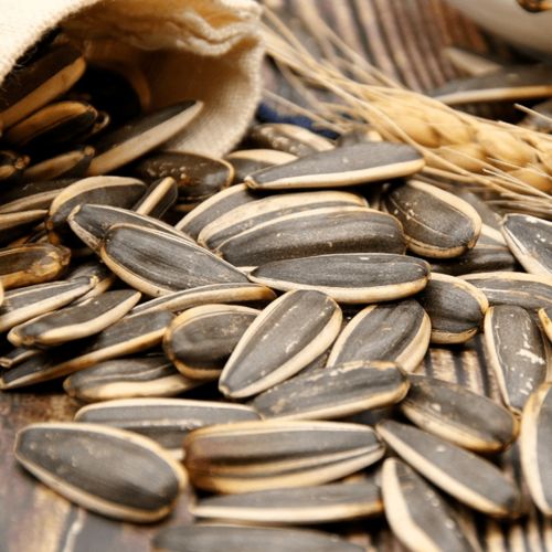 事关春节 两当人速看