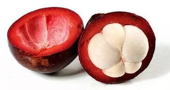 你每天都吃的南方水果 你知道是这样长出来的吗