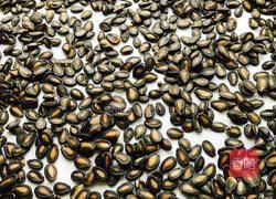 五香打瓜子：传统风味的小吃魅力