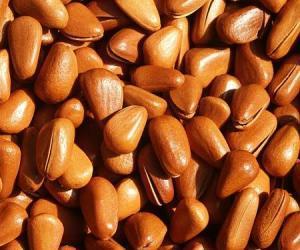 同盛昌五香瓜子 传统风味与现代健康的完美融合