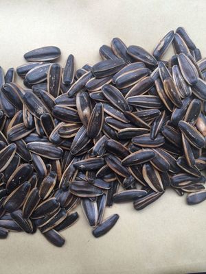 五香瓜子 传统与创新的坚果炒货之选